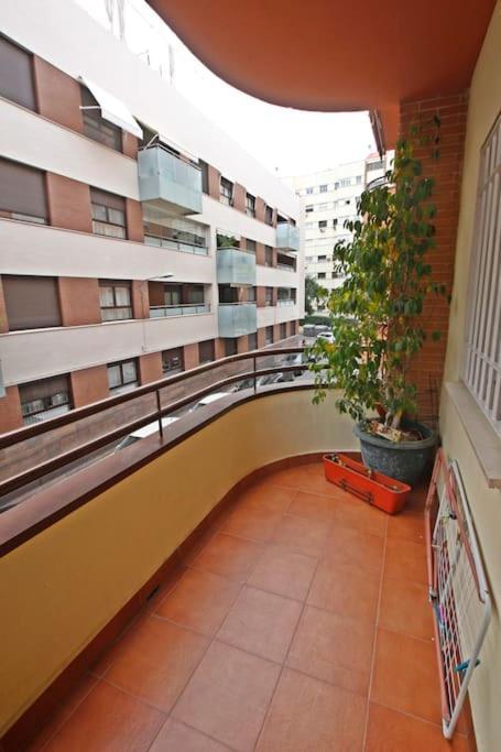 Sevilla Clasica: Amigos Y Familia. Parking Gratis! Exterior foto